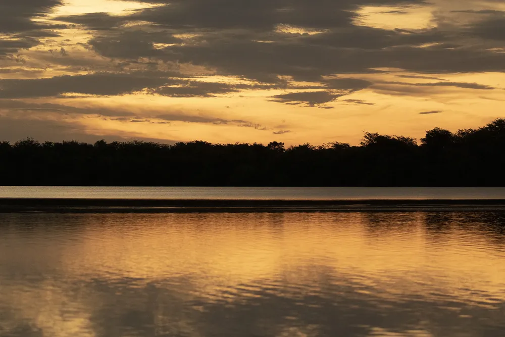 credito_ Rodrigo Folch (1)