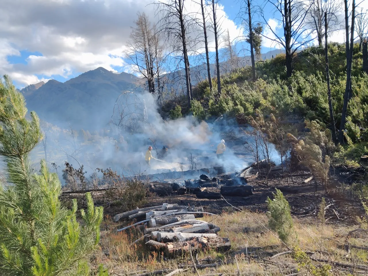 WhatsApp Image 2025-11-18 at 23.03.00 (1)