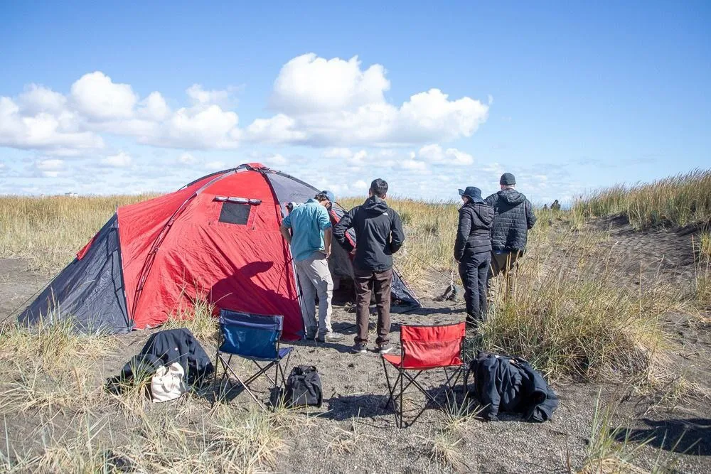 WhatsApp Image 2026-02-10 at 23.50.41 (2)