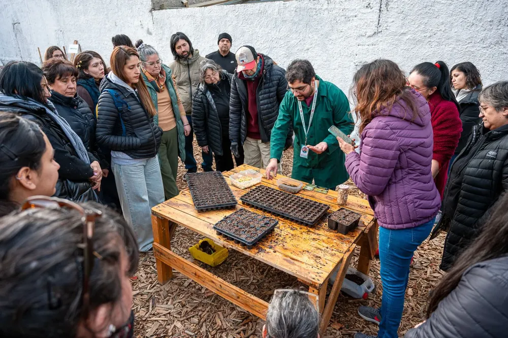 Huerta taller siembra