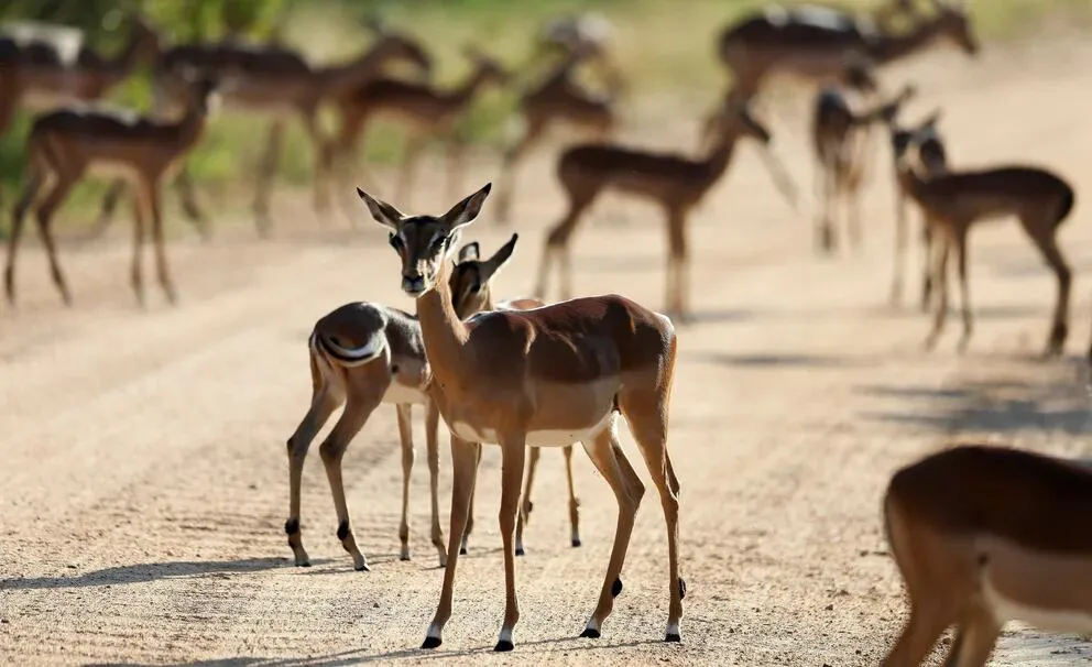 5QB6PB6OFF3DJHM34B5ZTXGM3E[1]