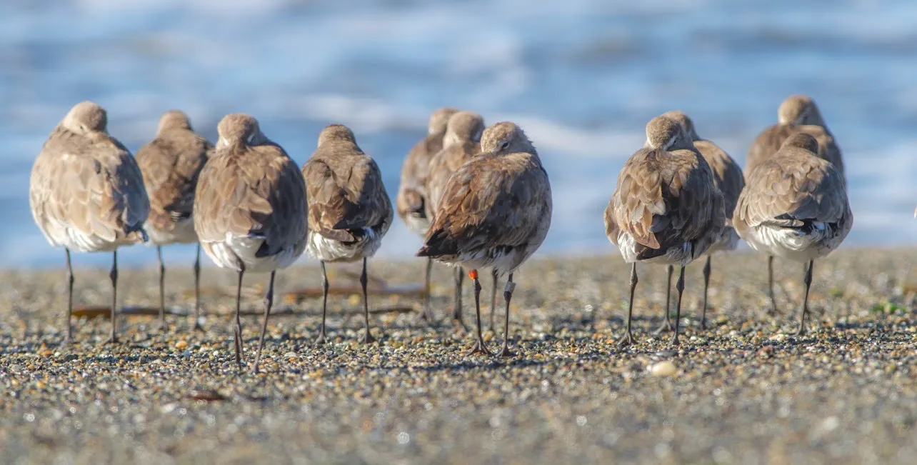 WhatsApp Image 2024-03-07 at 10.26.55