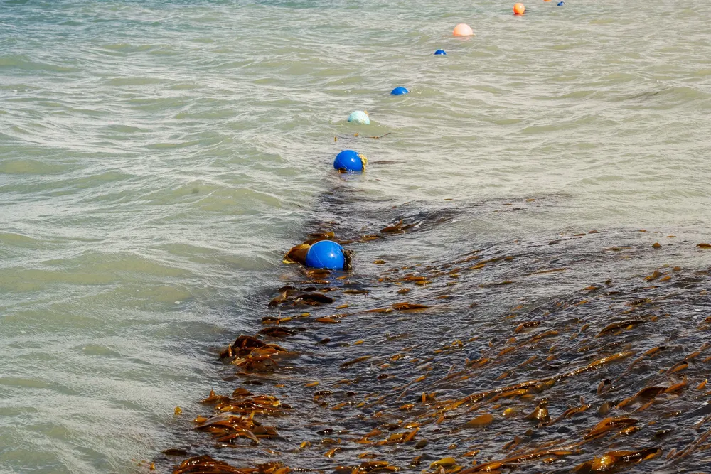 La granja marina en San Julián, Foto Ailin Peirone