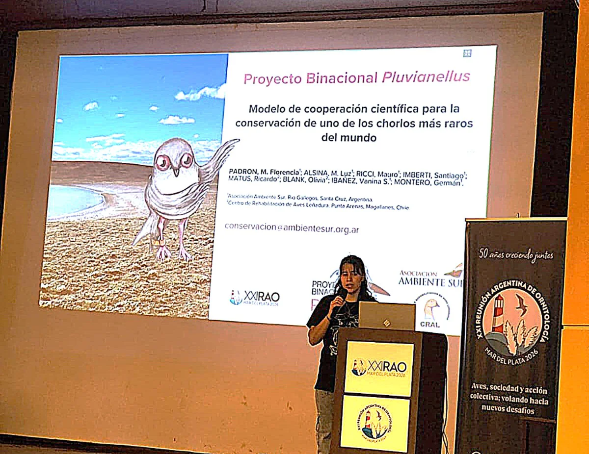 Florencia Padrón de Ambiente Sur expuso sobre el Proyecto Binacional Pluvianellus en la XXI RAO
