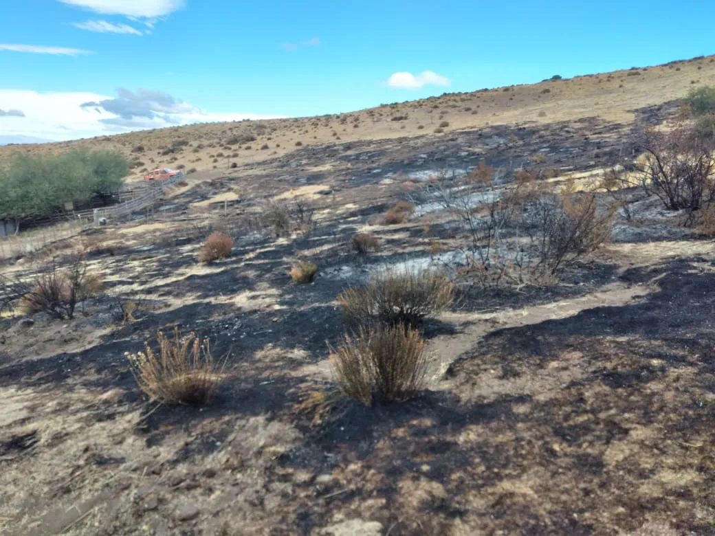 WhatsApp Image 2025-03-20 at 10.32.37