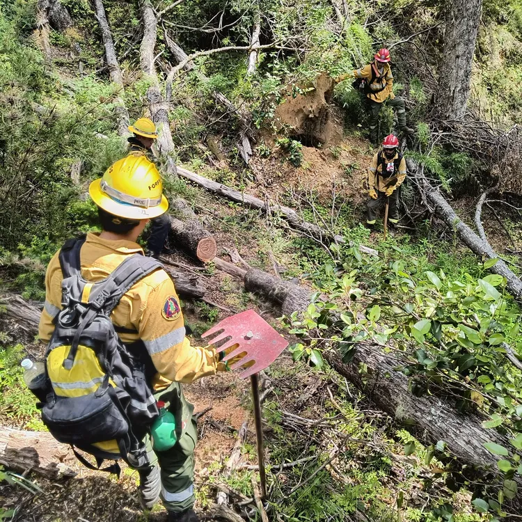 WhatsApp Image 2025-01-08 at 08.36.47 (1)