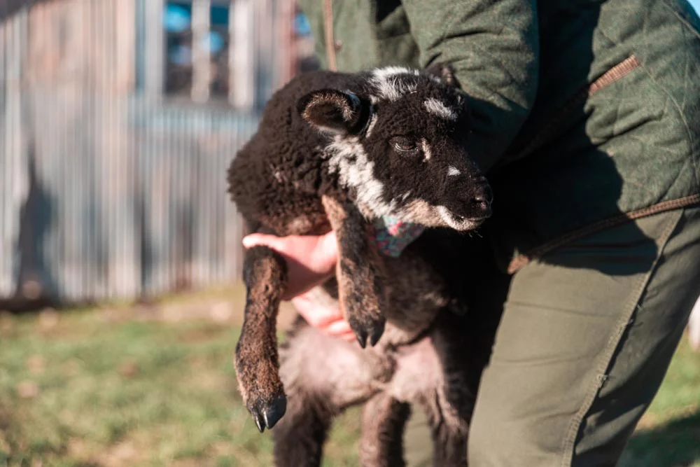 Excursion-completa-EA.-Cabo-San-Pablo-59