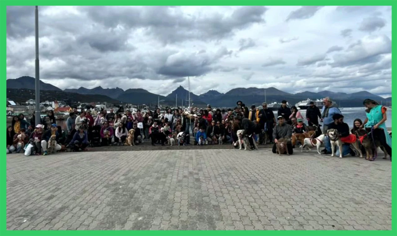 WhatsApp Image 2026-03-04 at 13.29.03 (2)