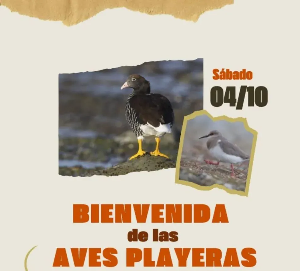 Afiche Bienvenida Aves 2025