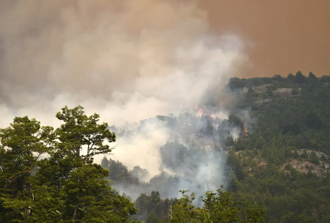 El paraíso convertido en infierno.Zona Norte, Parque Nacional Los Alerces, Chubut, Patagonia Arg (2)