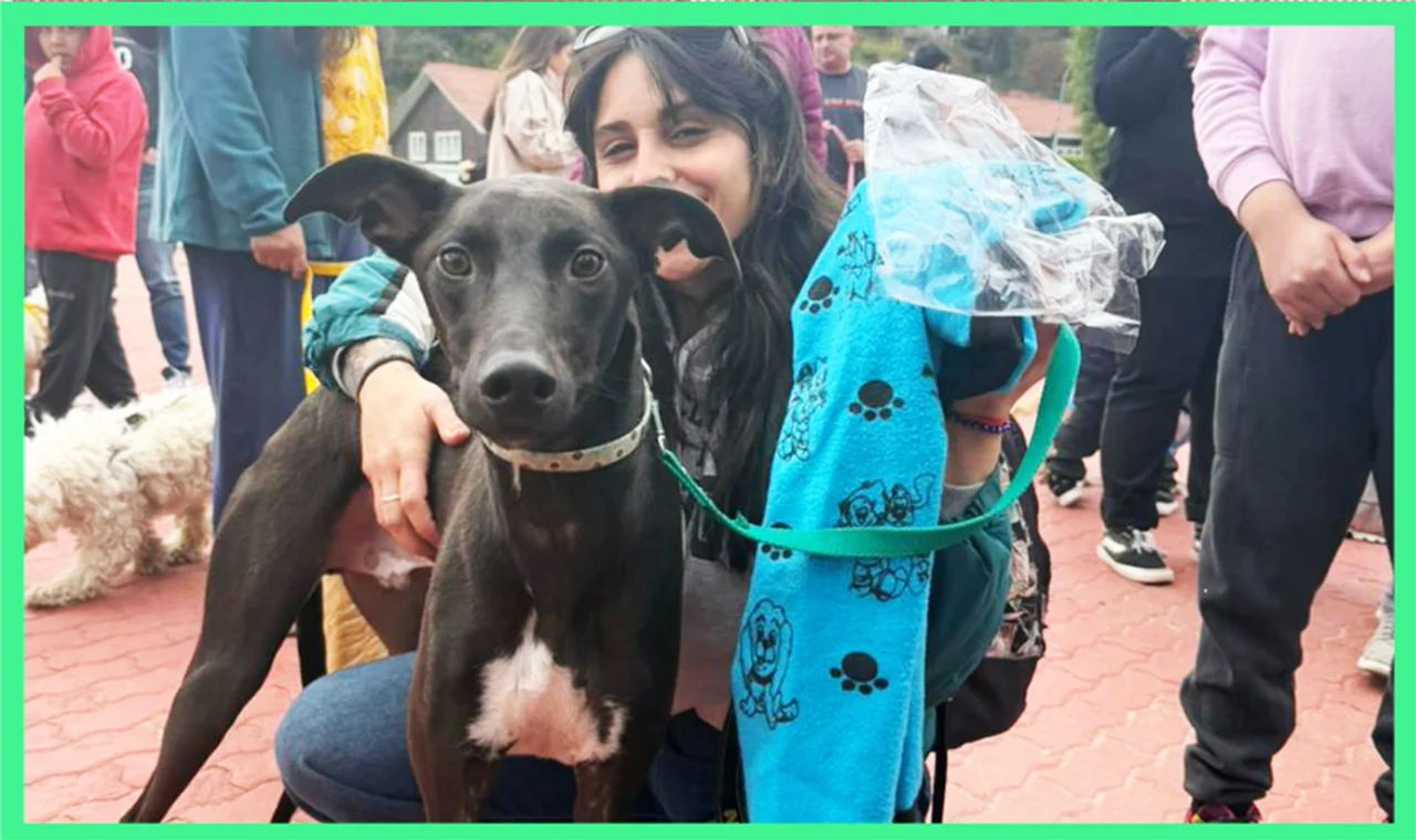 WhatsApp Image 2026-03-04 at 13.29.01 (2)