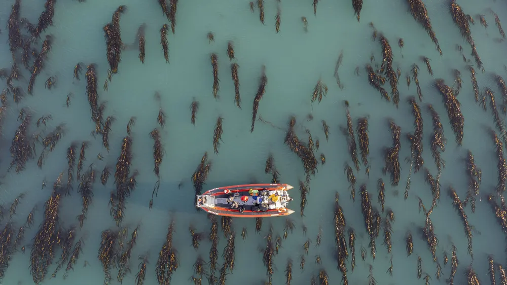 Navegando sobre bosques sumergidos de Santa Cruz, Argentina - foto de Cristian Lagger_Fundación Por el Mar