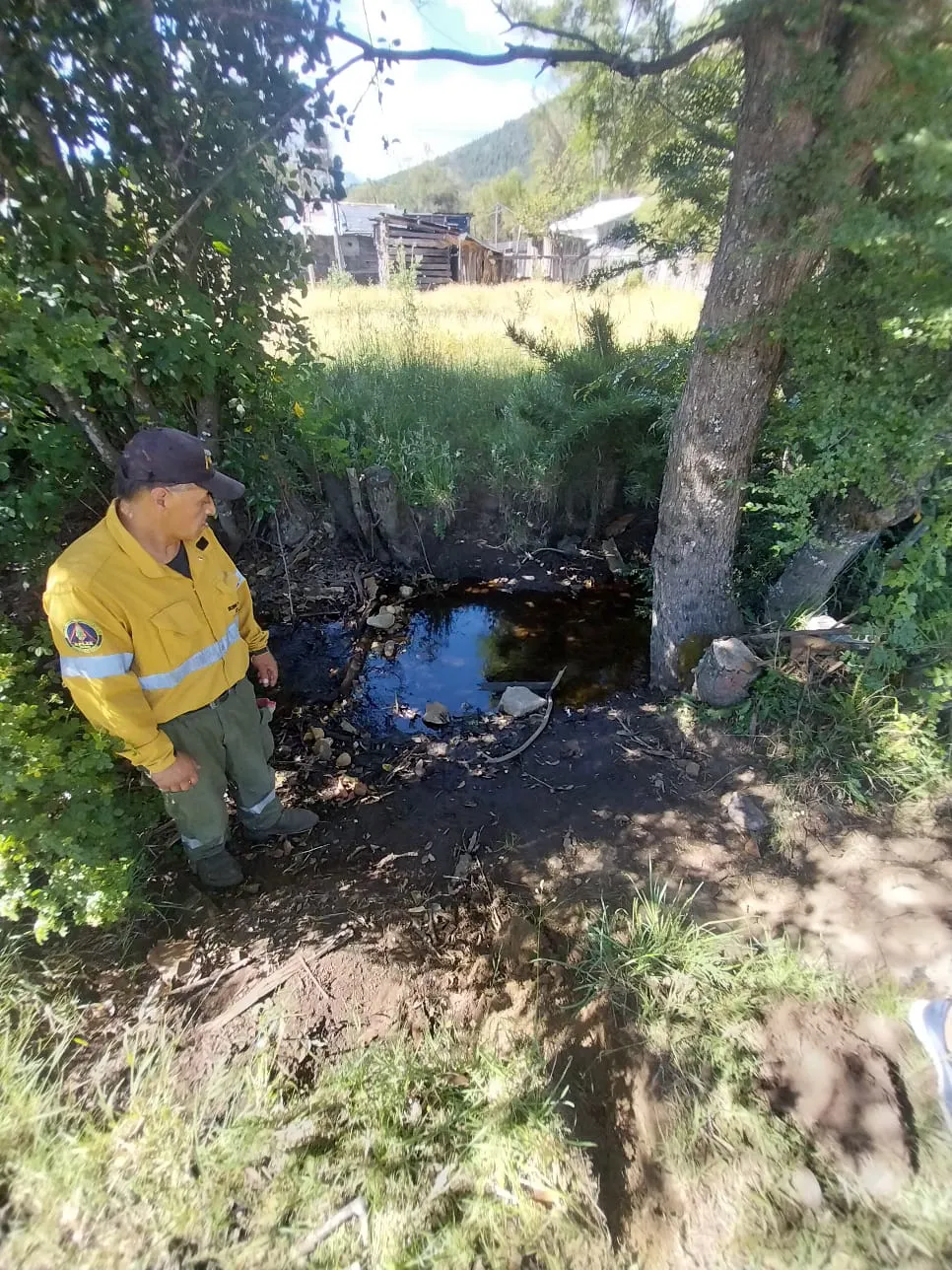 WhatsApp Image 2025-01-08 at 08.36.46