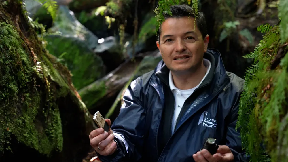 Copia de Stills The Lord Of The Penguins 10