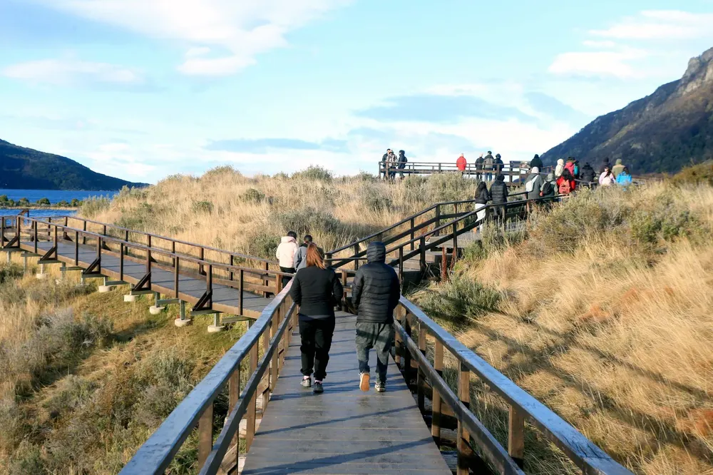 WhatsApp Image 2025-07-25 at 20.01.57