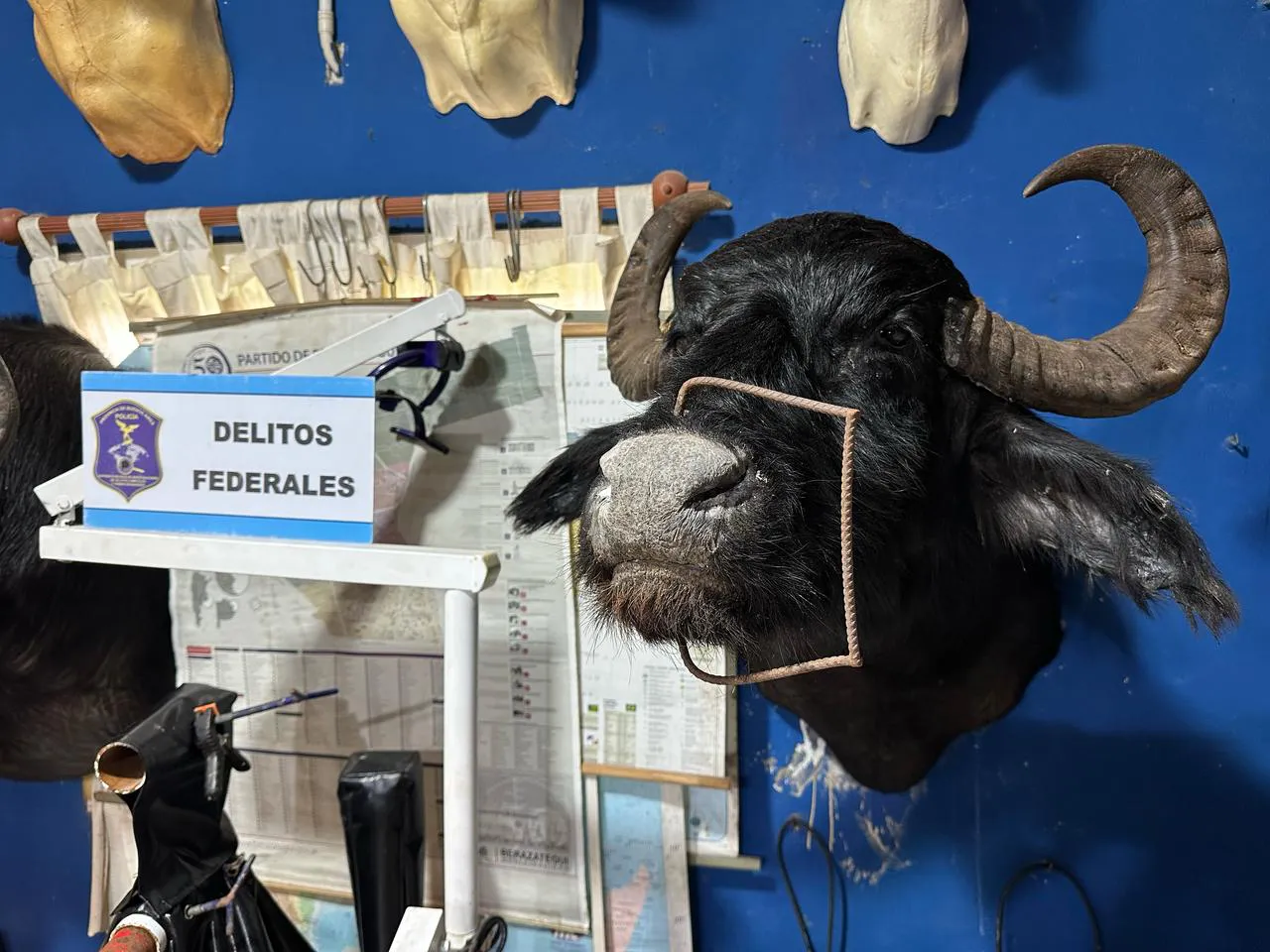 WhatsApp Image 2025-04-25 at 15.34.35