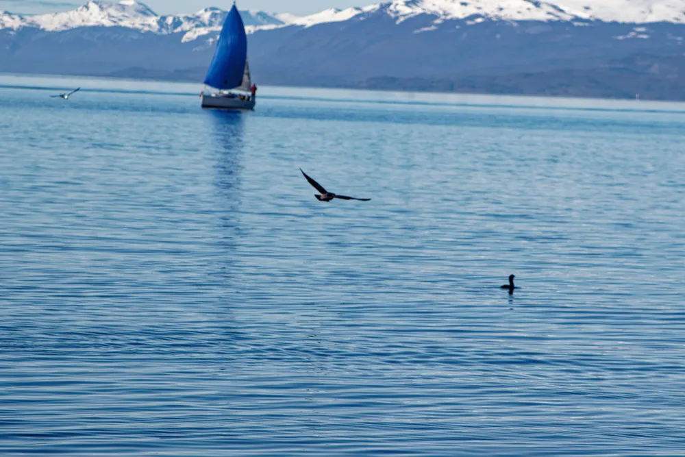 IMG_3707_DxO