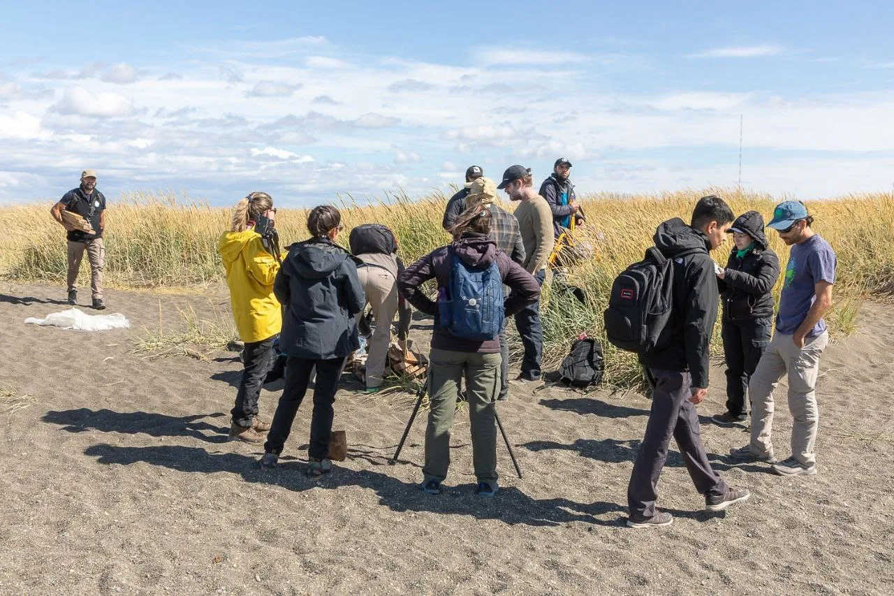 WhatsApp Image 2026-02-10 at 23.50.40 (2)