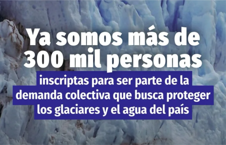 image-3-768x1024 (1)