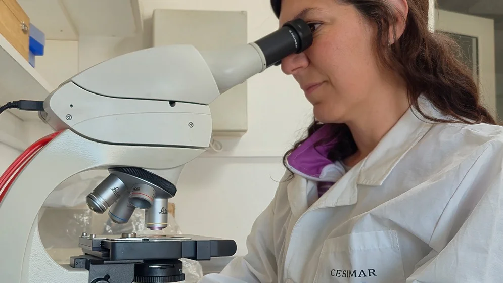 Fiorito-en-lab
