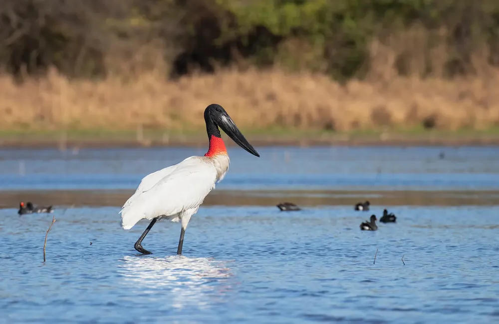 WhatsApp Image 2025-01-03 at 21.46.26 (2)