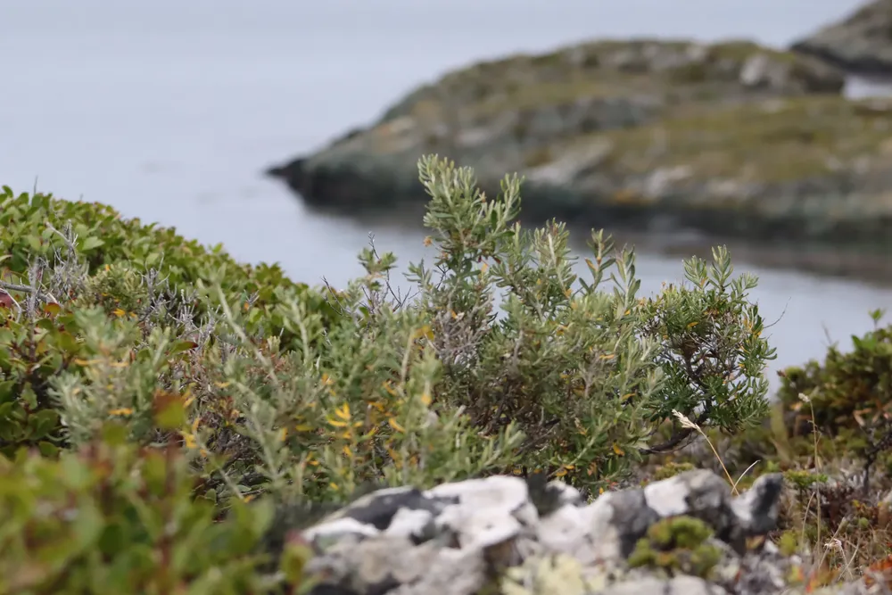 IMG_8497