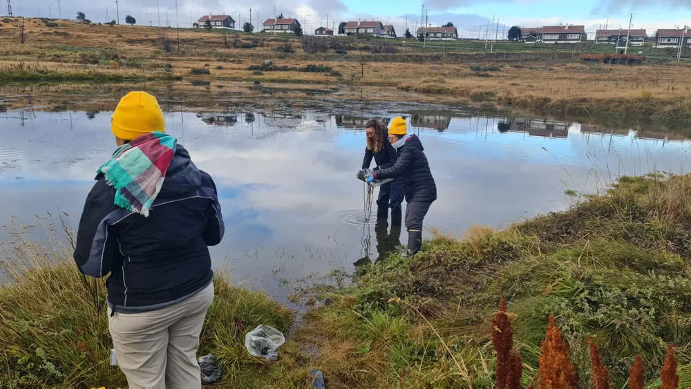 WhatsApp Image 2024-09-06 at 11.59.02