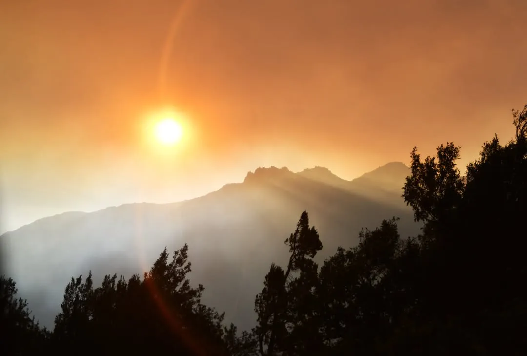 El paraíso convertido en infierno.Zona Norte, Parque Nacional Los Alerces, Chubut, Patagonia Arg (1)