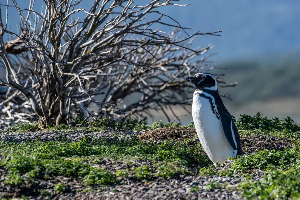 GP0STU22V_PressMedia