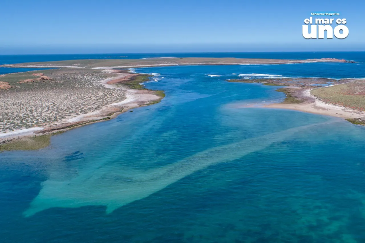 concurso_el_mar_es_uno_apn_06