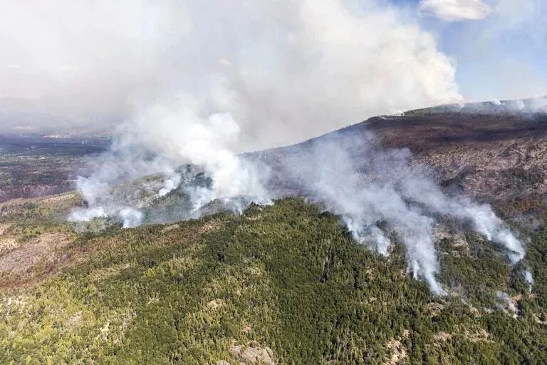 WhatsApp Image 2025-02-08 at 22.26.37