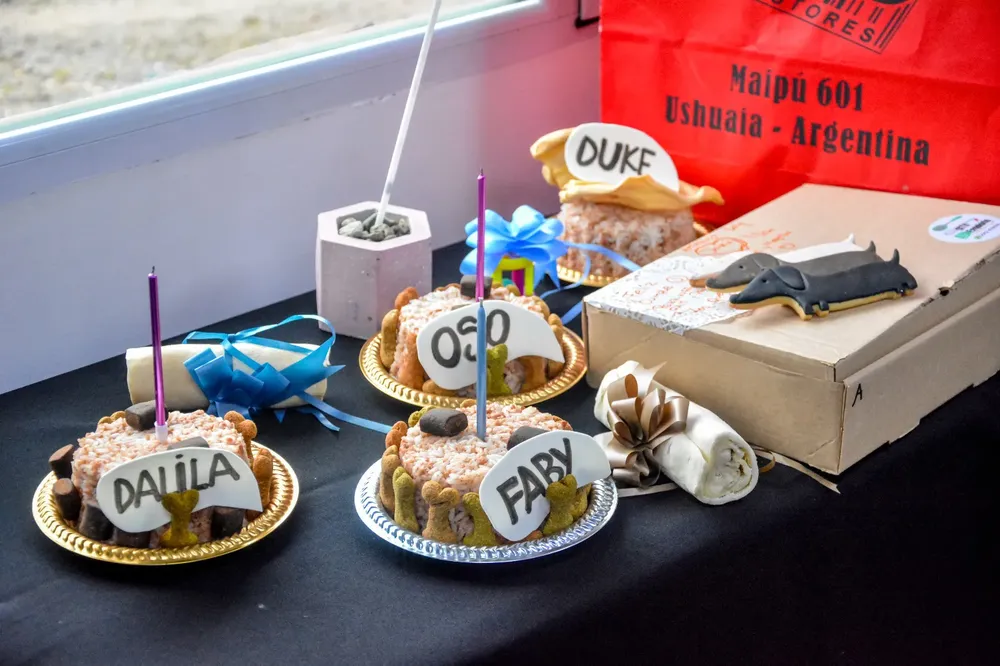 WhatsApp Image 2024-05-29 at 11.24.38