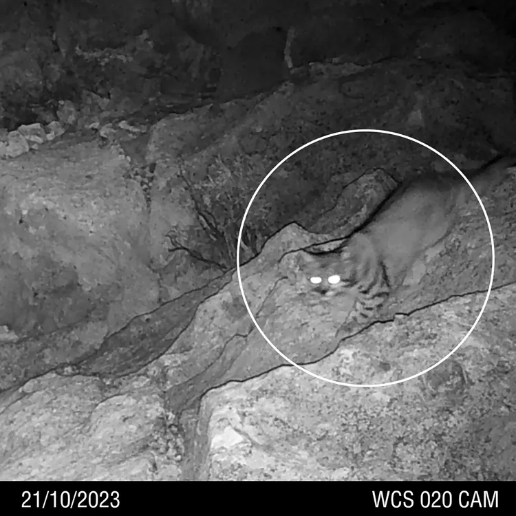 GA WCS 20 CAM (llegando)