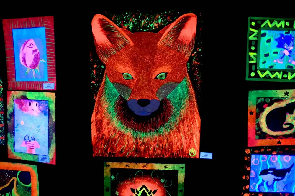 WhatsApp Image 2025-07-16 at 17.46.21