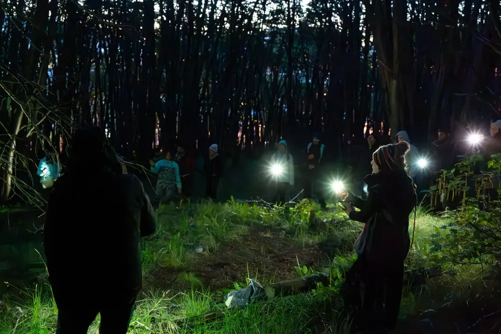 WhatsApp Image 2023-11-14 at 09.58.41