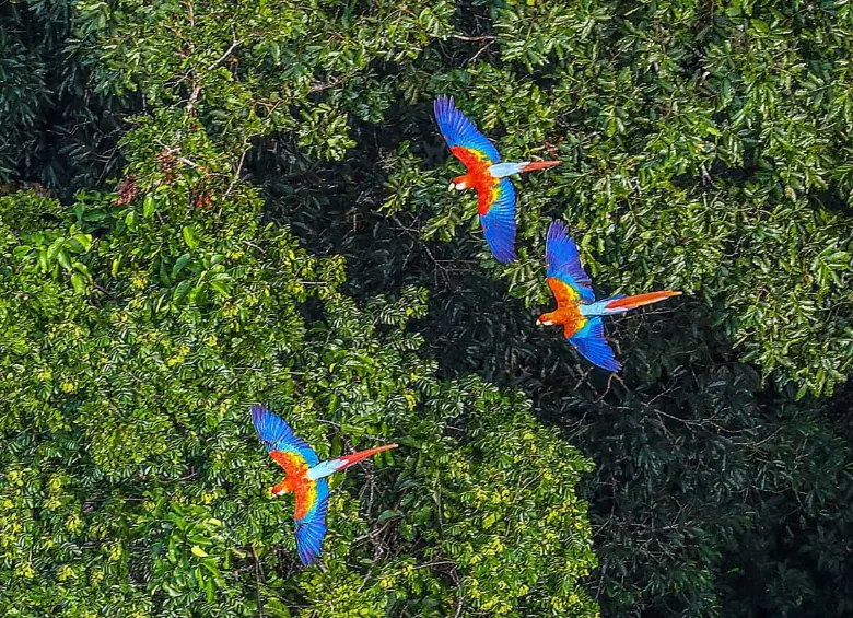 diseno-sin-titulo-2025-03-27t16021_47497234_20250327160315