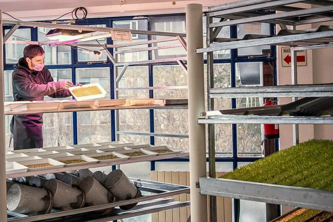 WhatsApp Image 2023-11-08 at 16.27.55 (1)