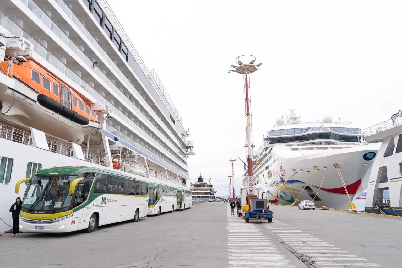 WhatsApp Image 2025-03-03 at 19.32.02