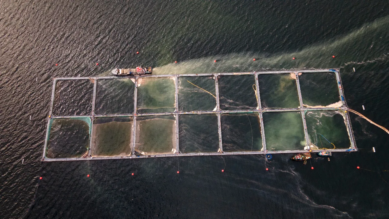 WhatsApp Image 2021-04-11 at 14_58_56