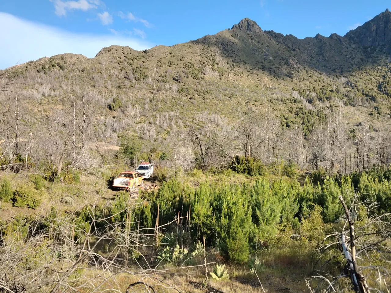 WhatsApp Image 2025-11-18 at 23.02.59