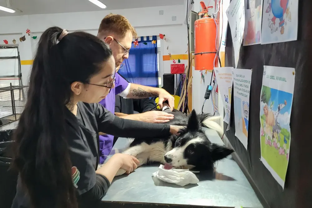 WhatsApp Image 2025-04-29 at 14.38.23 (1)