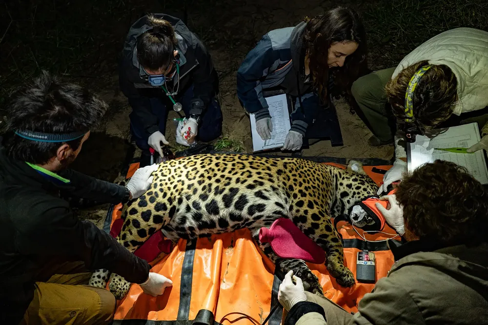 WhatsApp Image 2024-10-25 at 09.15.25 (1)