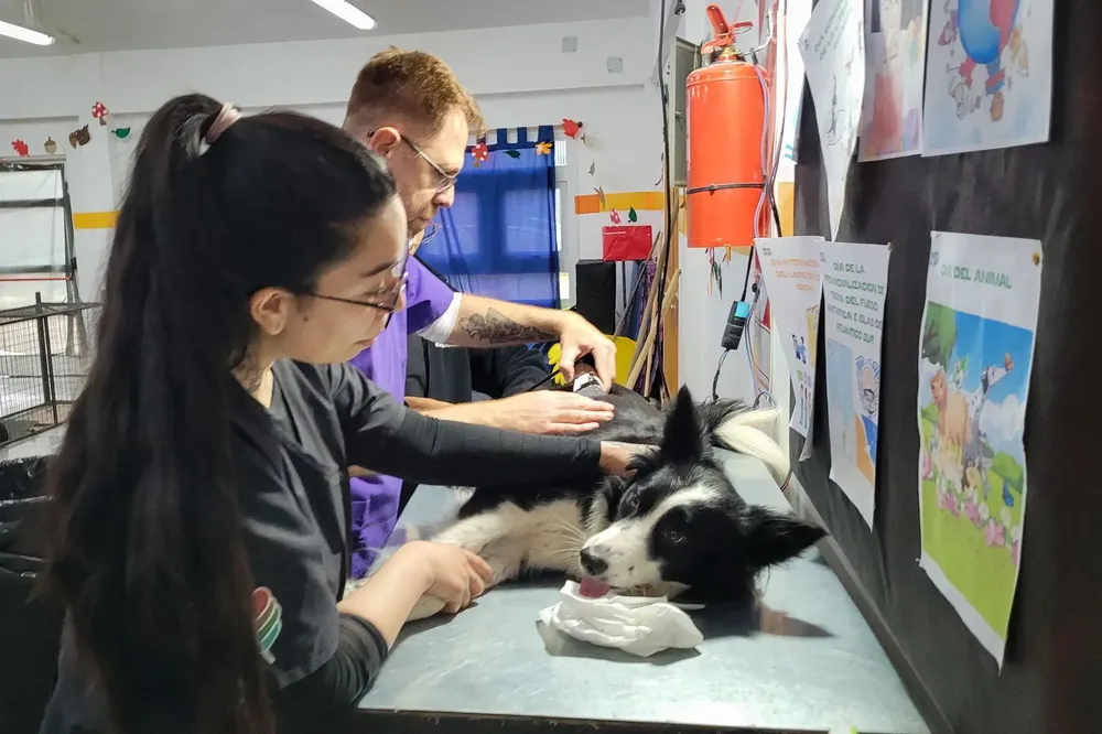 WhatsApp Image 2025-05-09 at 11.26.18