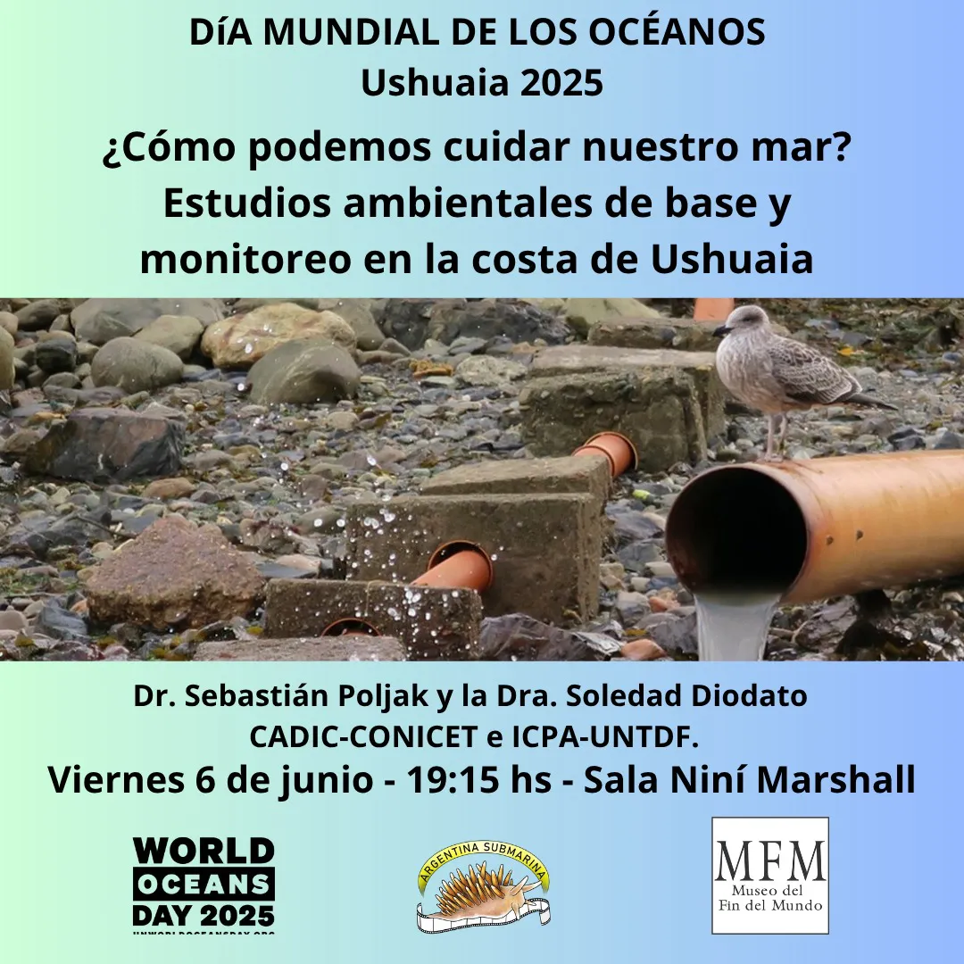 WhatsApp Image 2025-05-30 at 21.49.26 (1)