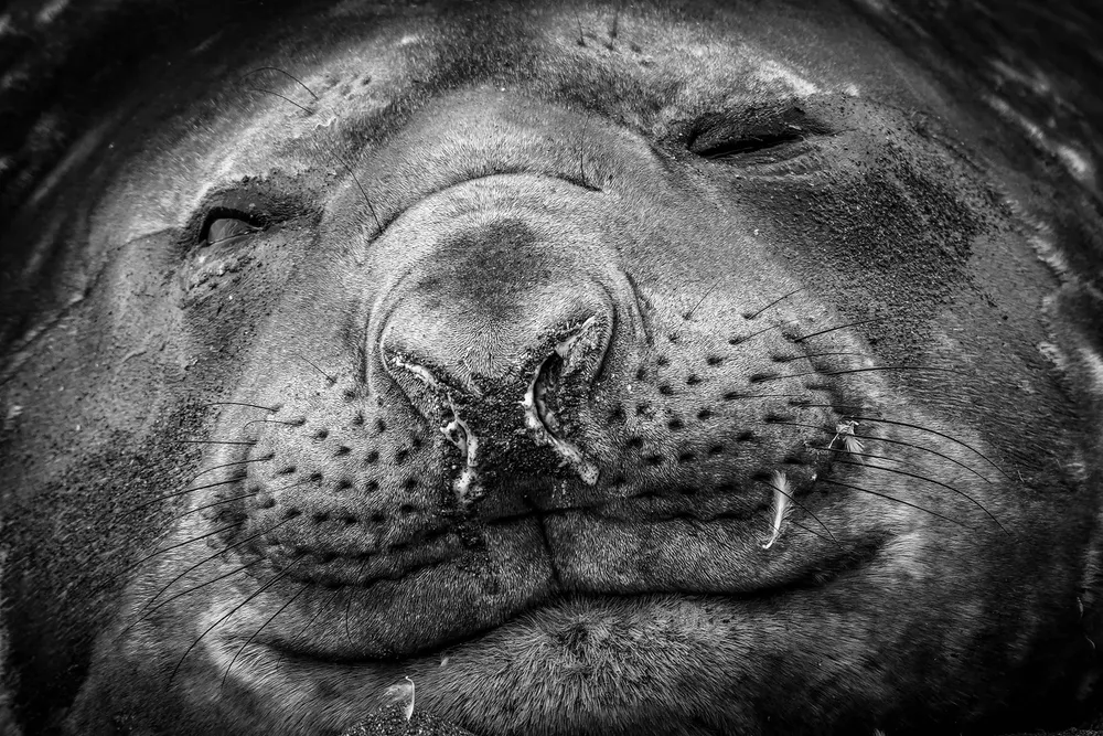 849ac607-0178-4504-aaef-6ead50d9d016_6000x4000