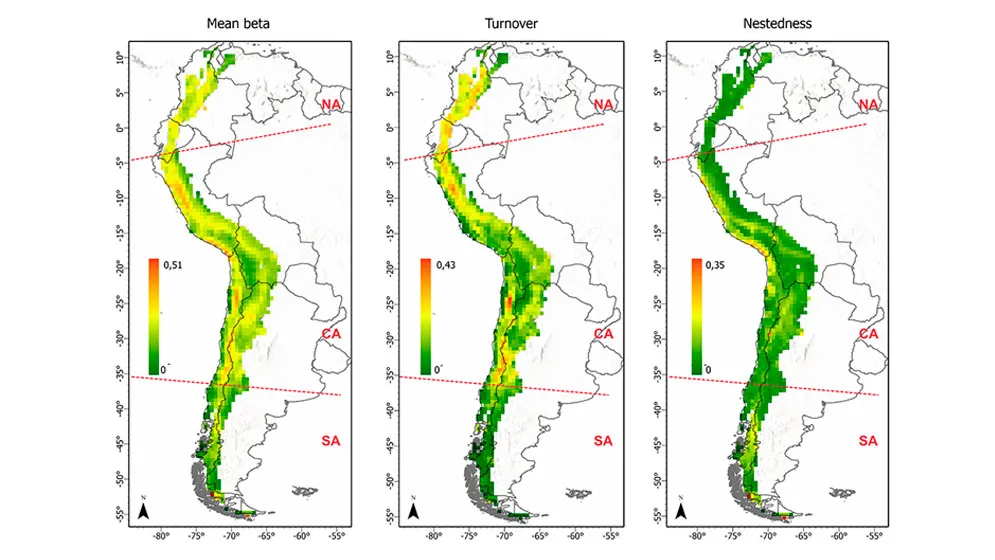mapa-web