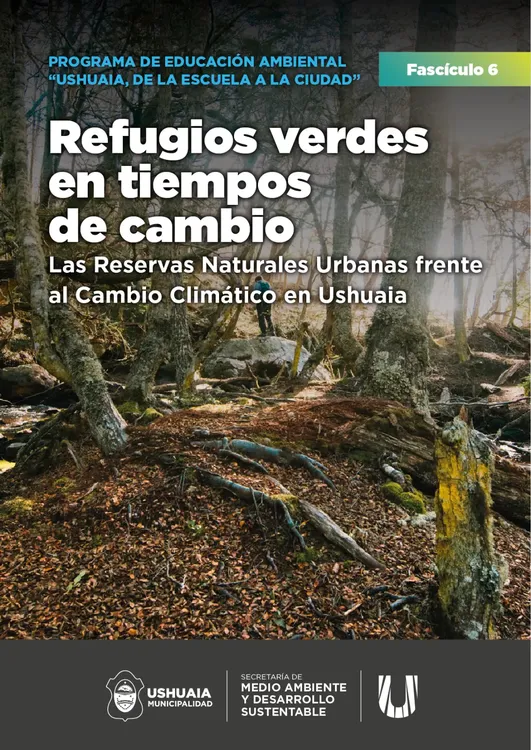 WhatsApp Image 2024-11-01 at 17.25.14