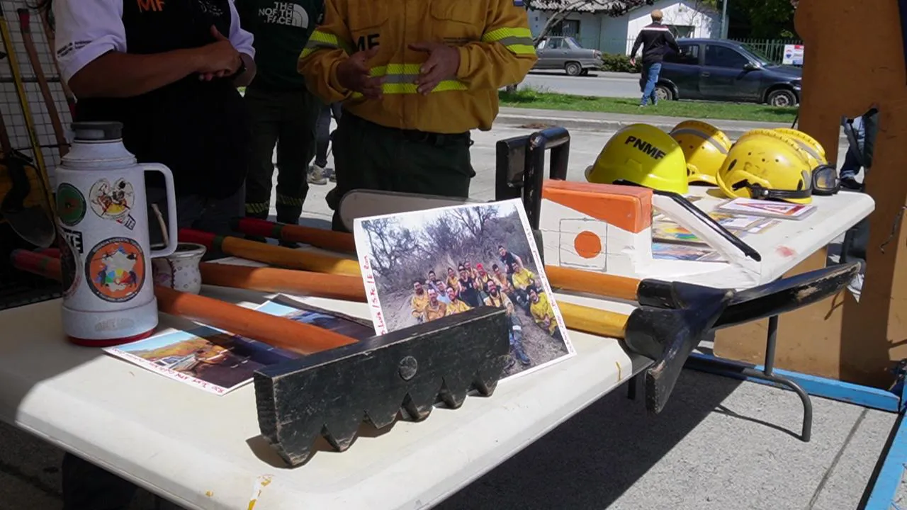 WhatsApp Image 2024-11-07 at 11.35.05 (1)