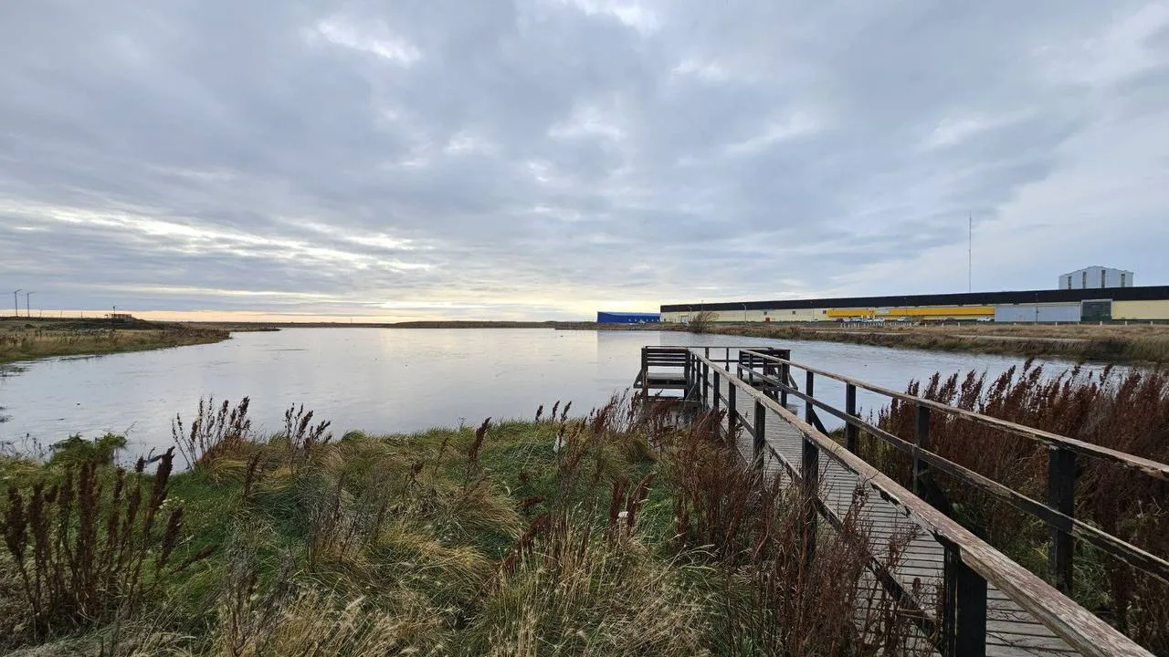 WhatsApp Image 2026-02-10 at 21.14.41