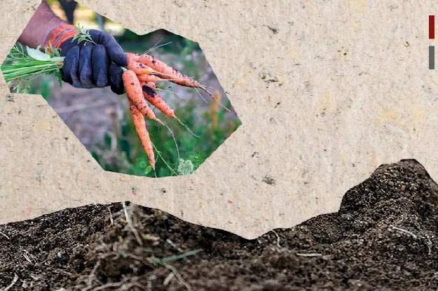 sec_de_extension_trabajo_comunitario_en_la_huerta_untdf-05_1729082737